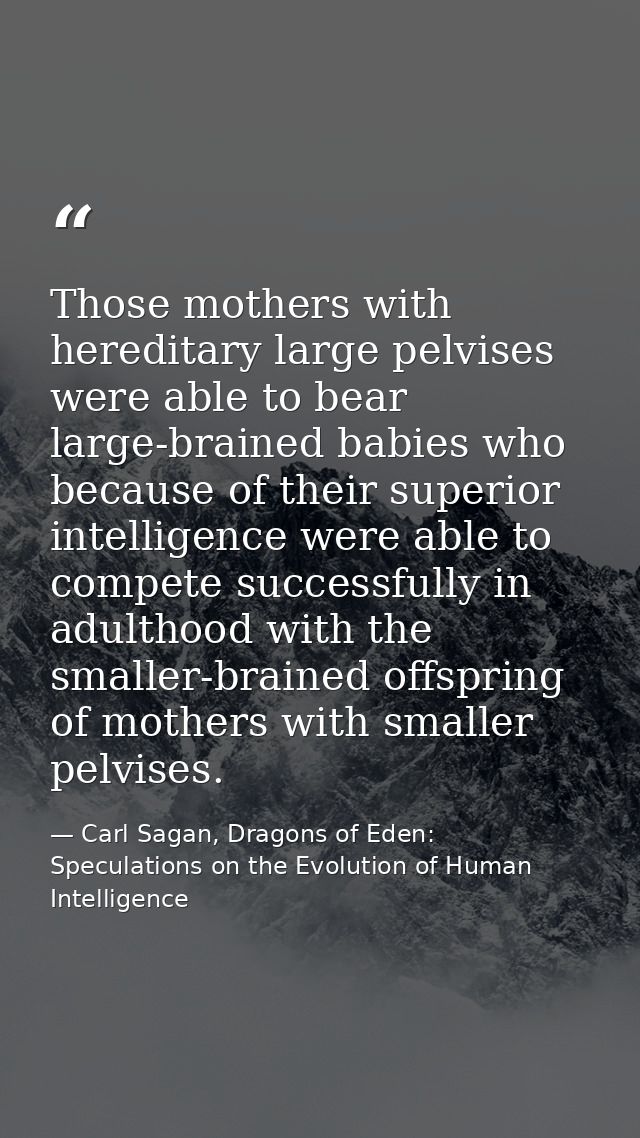 Those mothers with hereditary large pelvises were able to bear large-brained babies who because of their superior intell — Carl Sagan, Dragons of Eden: Speculations on the Evolution of Human Intelligence