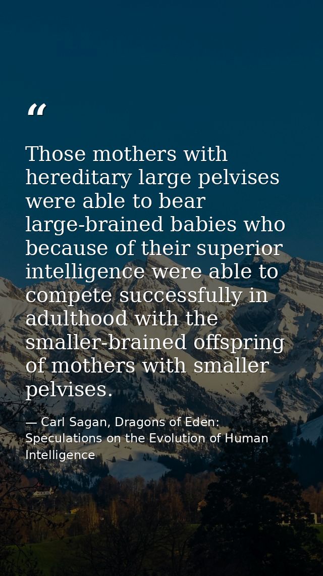 Those mothers with hereditary large pelvises were able to bear large-brained babies who because of their superior intell — Carl Sagan, Dragons of Eden: Speculations on the Evolution of Human Intelligence