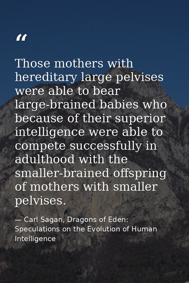 Those mothers with hereditary large pelvises were able to bear large-brained babies who because of their superior intell — Carl Sagan, Dragons of Eden: Speculations on the Evolution of Human Intelligence