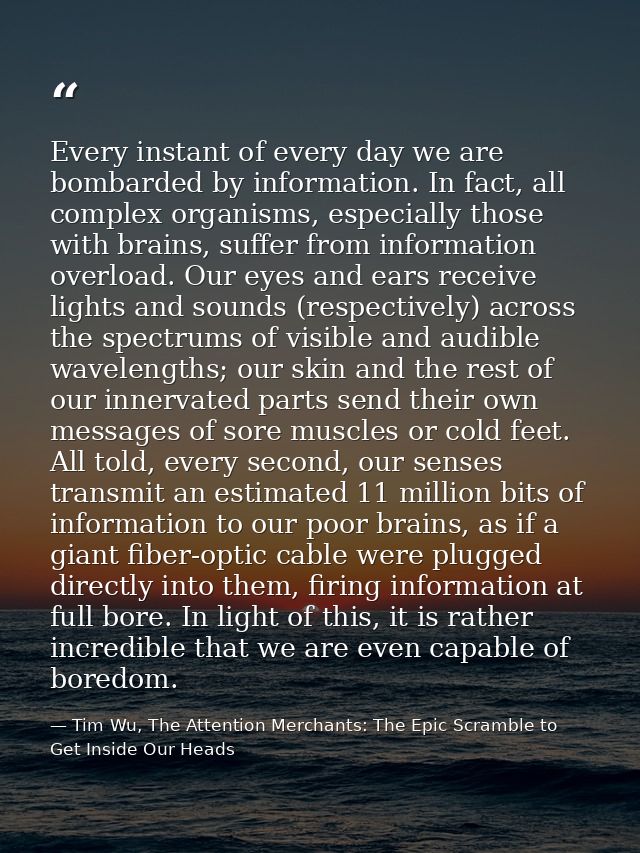 Every instant of every day we are bombarded by information. In fact, all complex organisms, especially those with brains — Tim Wu, The Attention Merchants: The Epic Scramble to Get Inside Our Heads