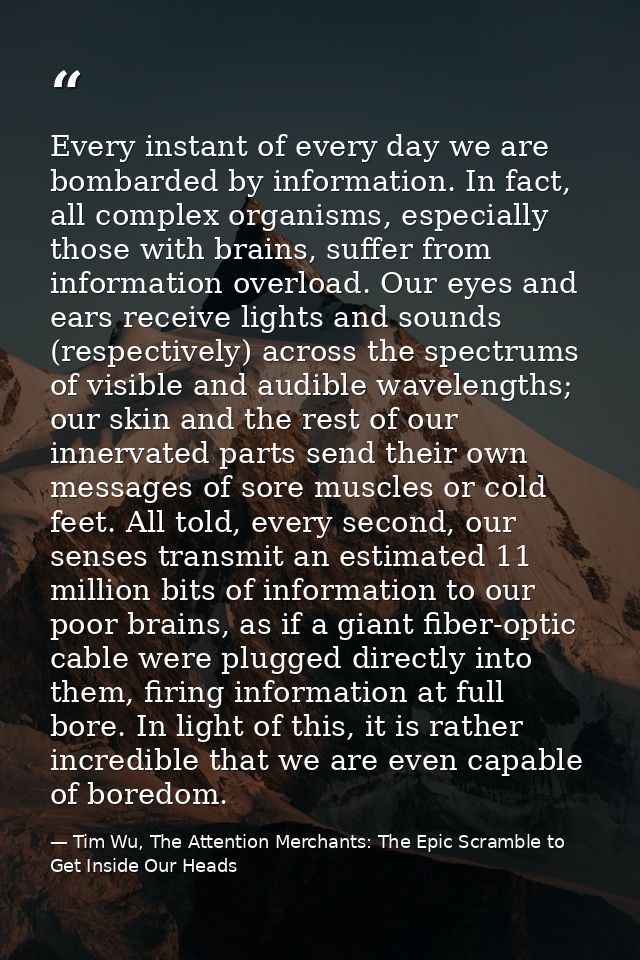Every instant of every day we are bombarded by information. In fact, all complex organisms, especially those with brains — Tim Wu, The Attention Merchants: The Epic Scramble to Get Inside Our Heads