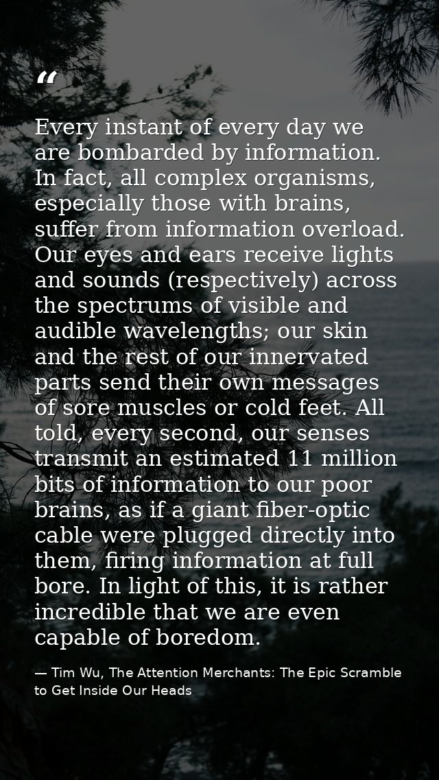 Every instant of every day we are bombarded by information. In fact, all complex organisms, especially those with brains — Tim Wu, The Attention Merchants: The Epic Scramble to Get Inside Our Heads