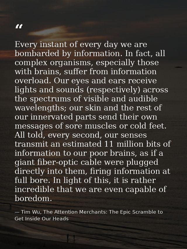 Every instant of every day we are bombarded by information. In fact, all complex organisms, especially those with brains — Tim Wu, The Attention Merchants: The Epic Scramble to Get Inside Our Heads
