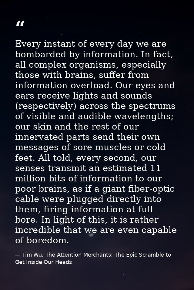 Every instant of every day we are bombarded by information. In fact, all complex organisms, especially those with brains — Tim Wu, The Attention Merchants: The Epic Scramble to Get Inside Our Heads