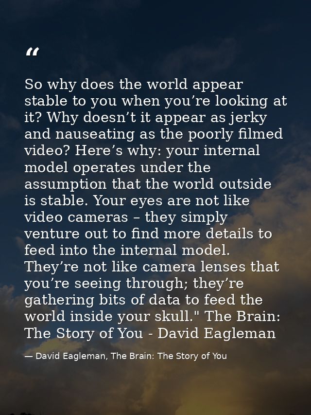 So why does the world appear stable to you when you’re looking at it? Why doesn’t it appear as jerky and nauseating as t — David Eagleman, The Brain: The Story of You