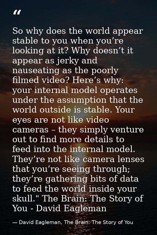 So why does the world appear stable to you when you’re looking at it? Why doesn’t it appear as jerky and nauseating as t — David Eagleman, The Brain: The Story of You