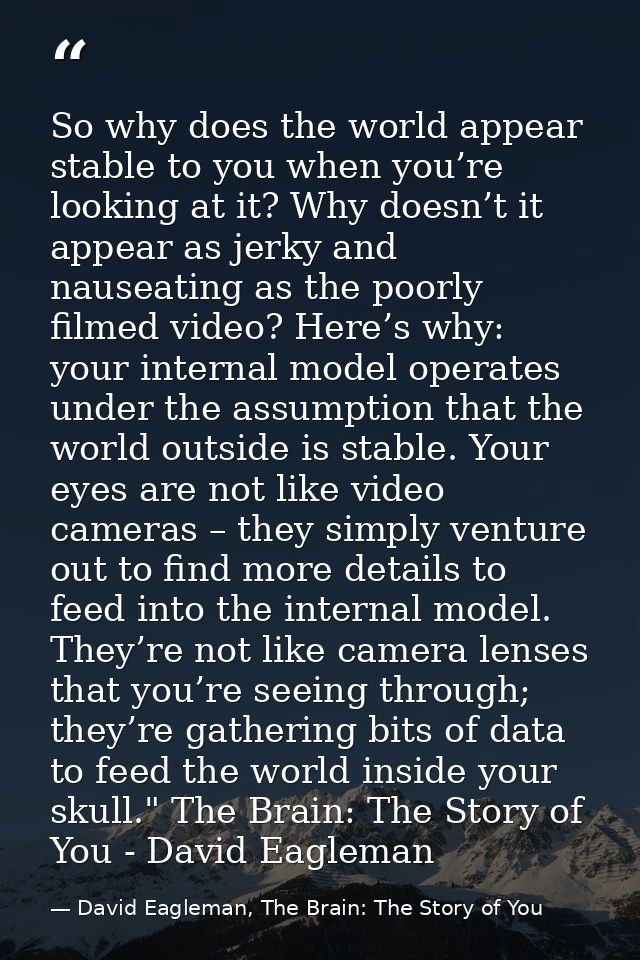 So why does the world appear stable to you when you’re looking at it? Why doesn’t it appear as jerky and nauseating as t — David Eagleman, The Brain: The Story of You