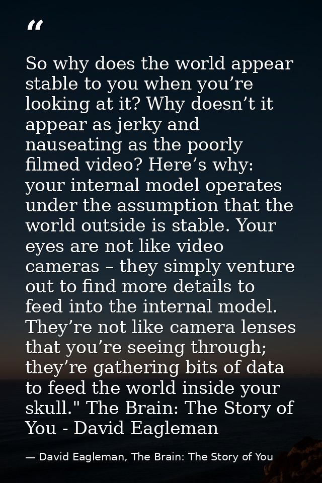 So why does the world appear stable to you when you’re looking at it? Why doesn’t it appear as jerky and nauseating as t — David Eagleman, The Brain: The Story of You