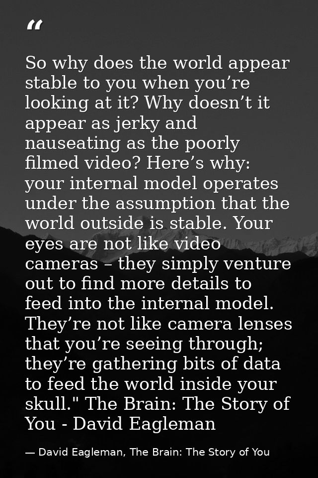So why does the world appear stable to you when you’re looking at it? Why doesn’t it appear as jerky and nauseating as t — David Eagleman, The Brain: The Story of You