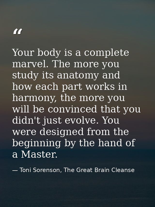 Your body is a complete marvel. The more you study its anatomy and how each part works in harmony, the more you will be  — Toni Sorenson, The Great Brain Cleanse