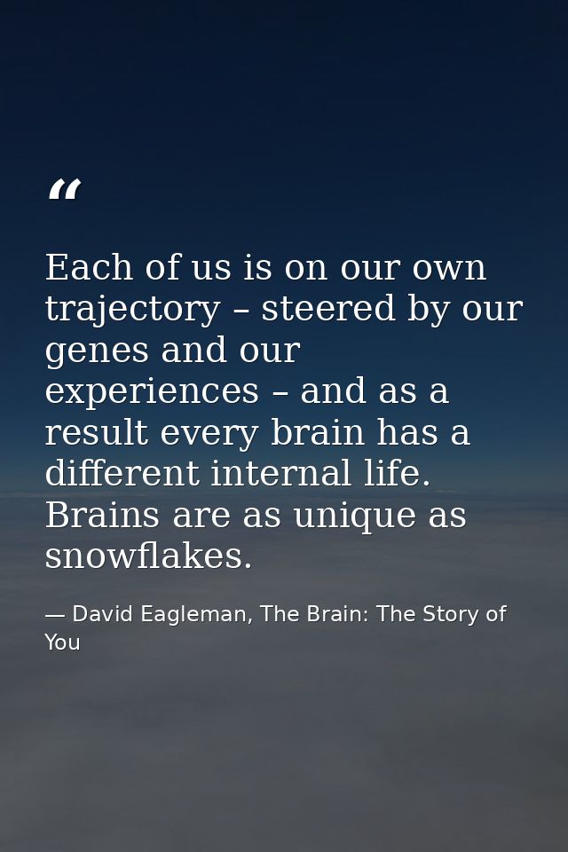 Each of us is on our own trajectory – steered by our genes and our experiences – and as a result every brain has a diffe — David Eagleman, The Brain: The Story of You