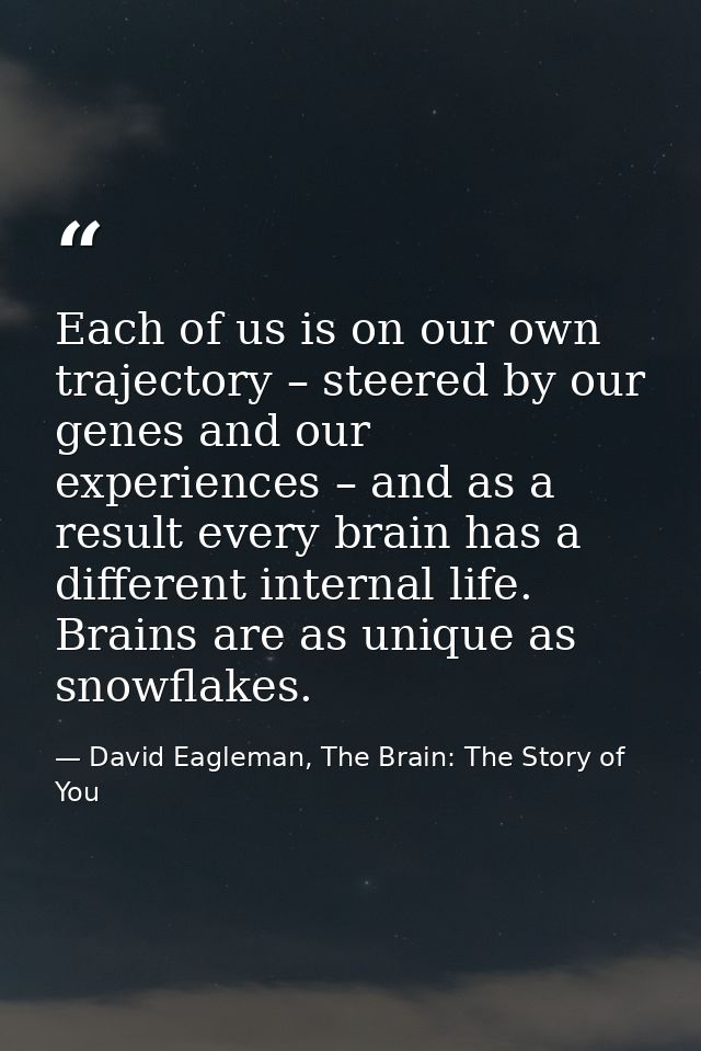 Each of us is on our own trajectory – steered by our genes and our experiences – and as a result every brain has a diffe — David Eagleman, The Brain: The Story of You