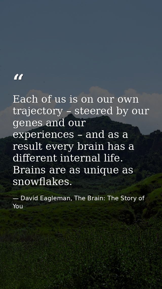 Each of us is on our own trajectory – steered by our genes and our experiences – and as a result every brain has a diffe — David Eagleman, The Brain: The Story of You