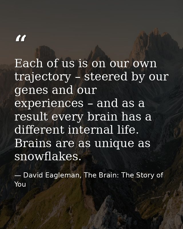 Each of us is on our own trajectory – steered by our genes and our experiences – and as a result every brain has a diffe — David Eagleman, The Brain: The Story of You