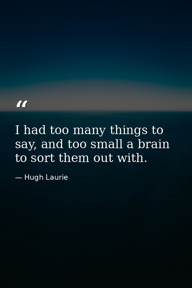 I had too many things to say, and too small a brain to sort them out with. — Hugh Laurie