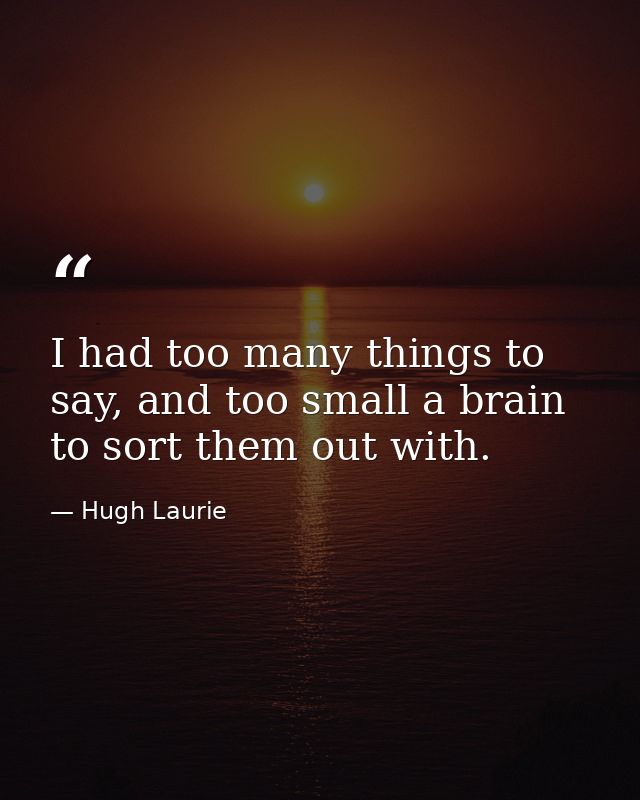 I had too many things to say, and too small a brain to sort them out with. — Hugh Laurie