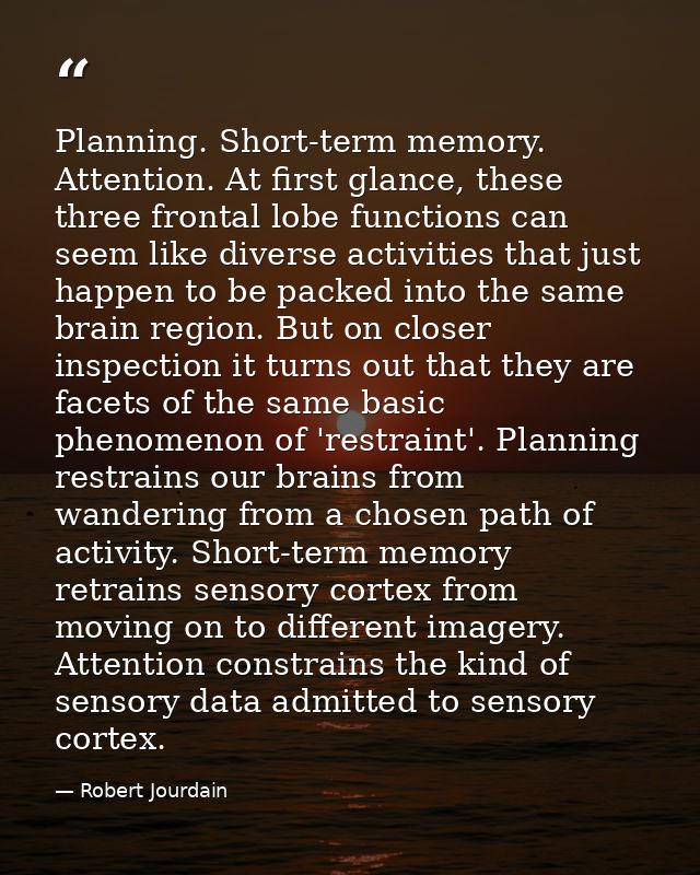 Planning. Short-term memory. Attention. At first glance, these three frontal lobe functions can seem like diverse activi — Robert Jourdain