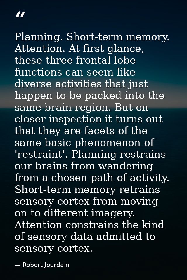 Planning. Short-term memory. Attention. At first glance, these three frontal lobe functions can seem like diverse activi — Robert Jourdain