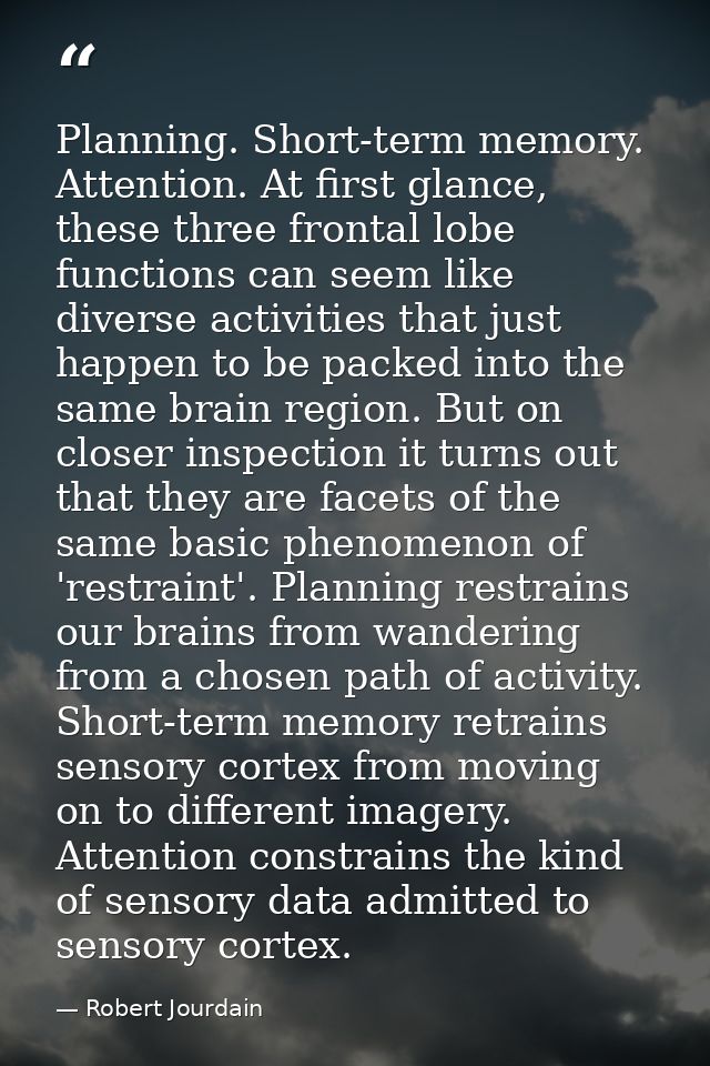 Planning. Short-term memory. Attention. At first glance, these three frontal lobe functions can seem like diverse activi — Robert Jourdain