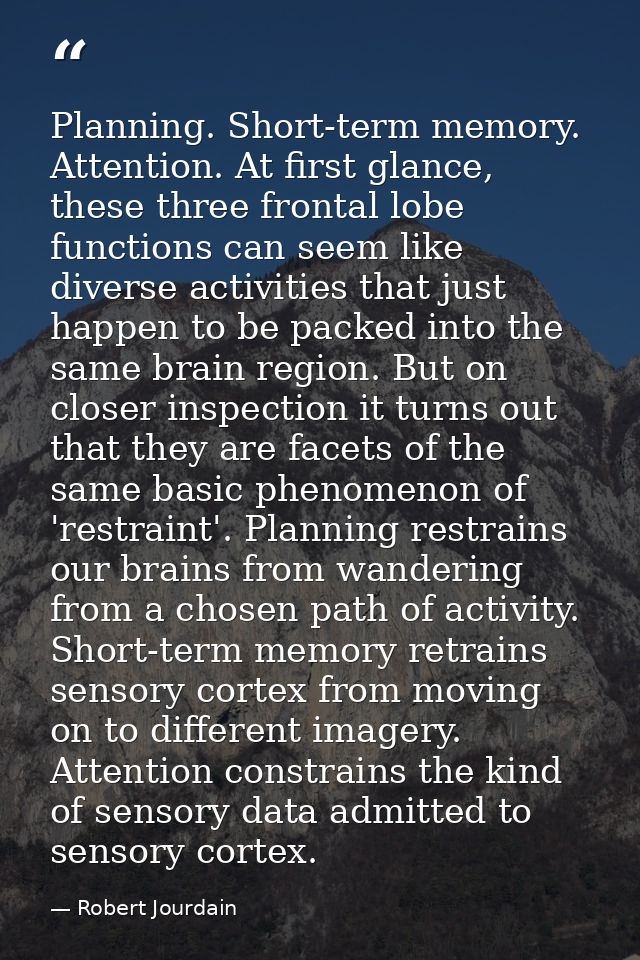 Planning. Short-term memory. Attention. At first glance, these three frontal lobe functions can seem like diverse activi — Robert Jourdain