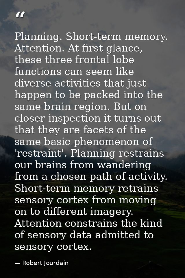 Planning. Short-term memory. Attention. At first glance, these three frontal lobe functions can seem like diverse activi — Robert Jourdain