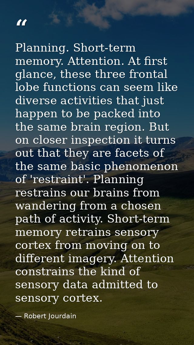 Planning. Short-term memory. Attention. At first glance, these three frontal lobe functions can seem like diverse activi — Robert Jourdain