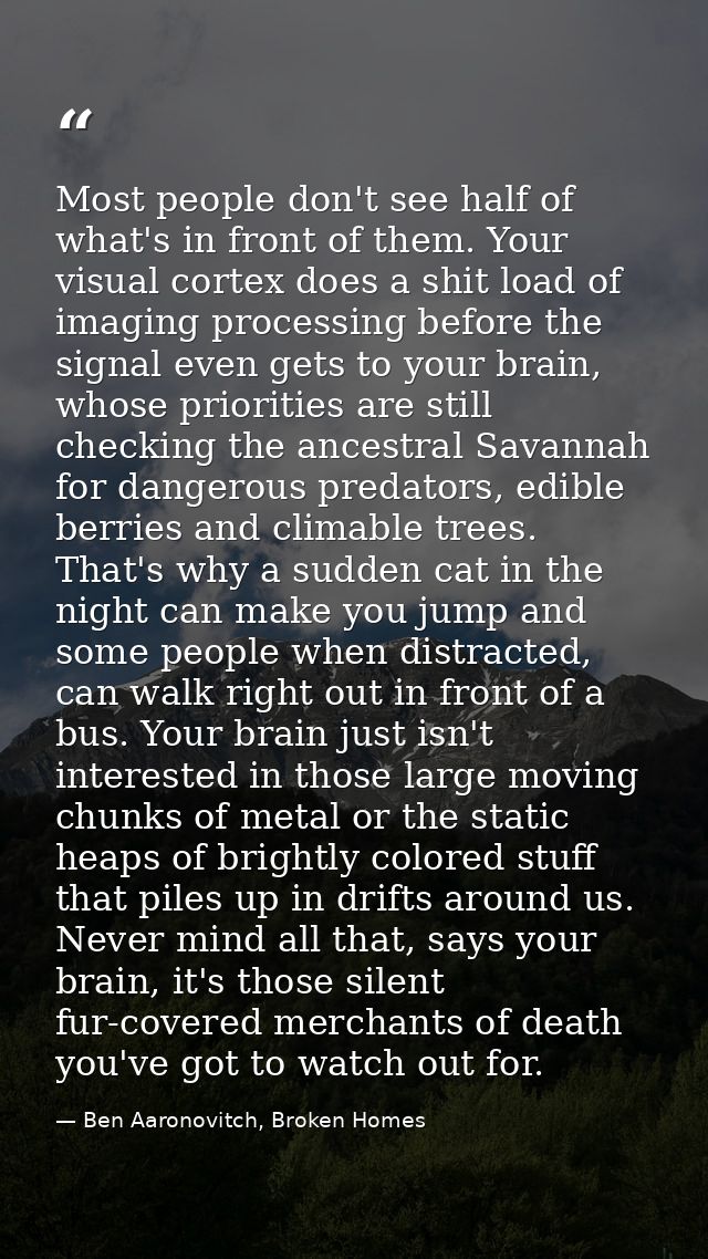 Most people don't see half of what's in front of them. Your visual cortex does a shit load of imaging processing before  — Ben Aaronovitch, Broken Homes