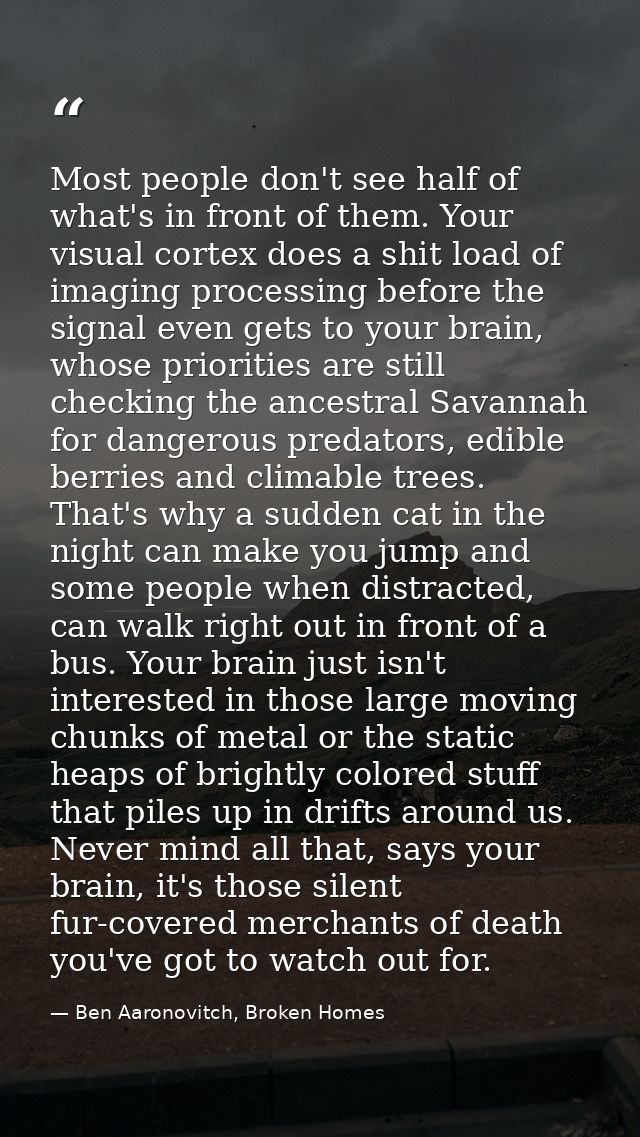 Most people don't see half of what's in front of them. Your visual cortex does a shit load of imaging processing before  — Ben Aaronovitch, Broken Homes