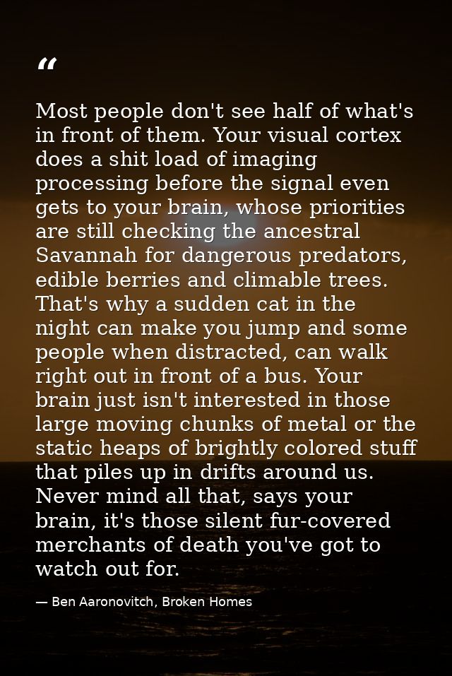 Most people don't see half of what's in front of them. Your visual cortex does a shit load of imaging processing before  — Ben Aaronovitch, Broken Homes
