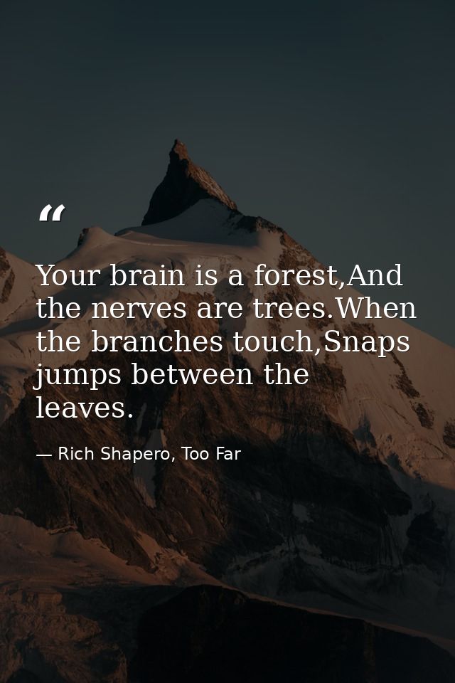Your brain is a forest,And the nerves are trees.When the branches touch,Snaps jumps between the leaves. — Rich Shapero, Too Far