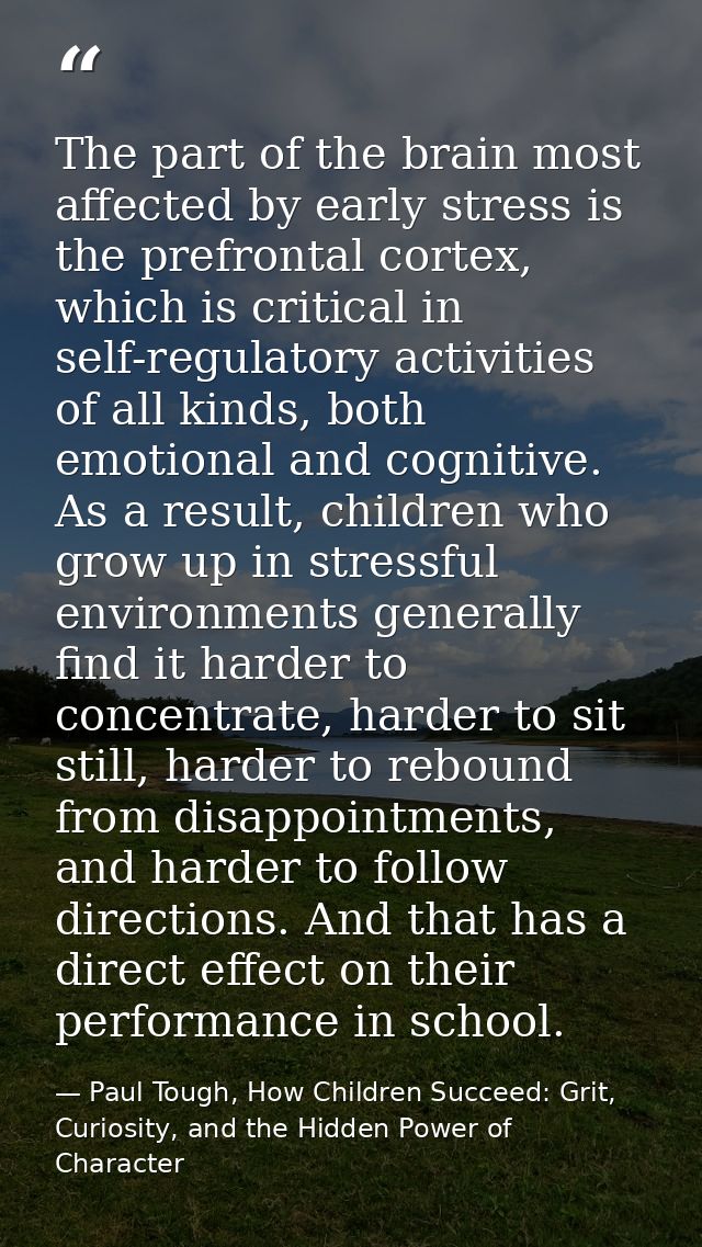 The part of the brain most affected by early stress is the prefrontal cortex, which is critical in self-regulatory activ — Paul Tough, How Children Succeed: Grit, Curiosity, and the Hidden Power of Character