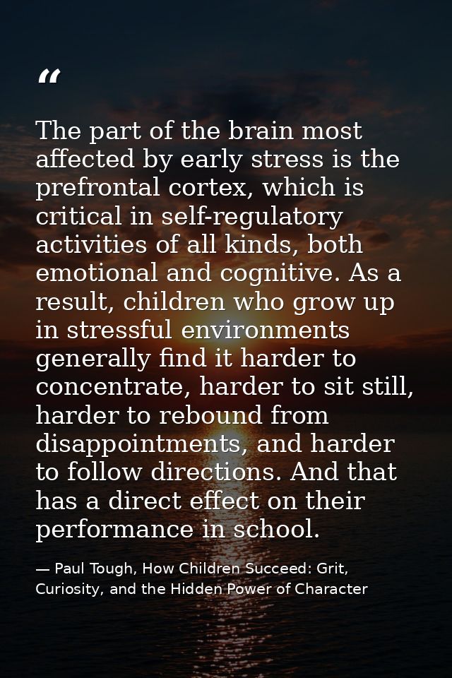 The part of the brain most affected by early stress is the prefrontal cortex, which is critical in self-regulatory activ — Paul Tough, How Children Succeed: Grit, Curiosity, and the Hidden Power of Character