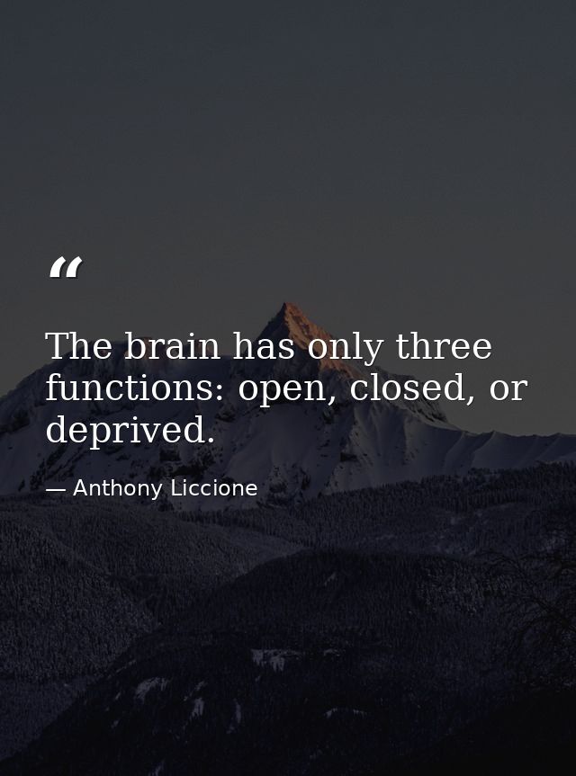 The brain has only three functions: open, closed, or deprived. — Anthony Liccione