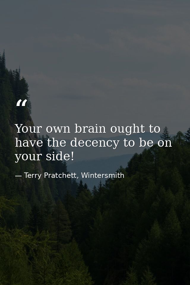 Your own brain ought to have the decency to be on your side! — Terry Pratchett, Wintersmith