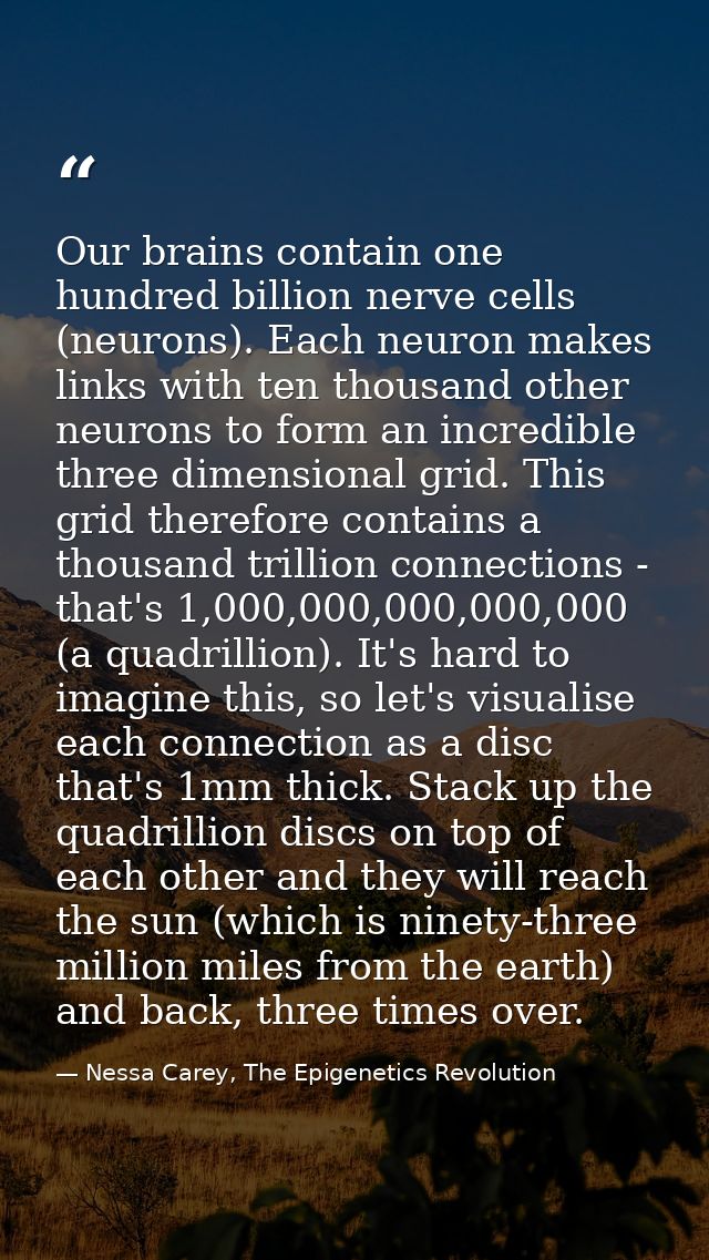 Our brains contain one hundred billion nerve cells (neurons). Each neuron makes links with ten thousand other neurons to — Nessa Carey, The Epigenetics Revolution