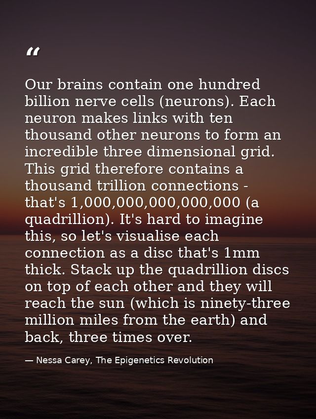 Our brains contain one hundred billion nerve cells (neurons). Each neuron makes links with ten thousand other neurons to — Nessa Carey, The Epigenetics Revolution