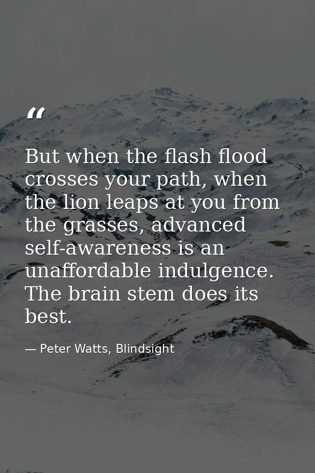 But when the flash flood crosses your path, when the lion leaps at you from the grasses, advanced self-awareness is an u — Peter Watts, Blindsight