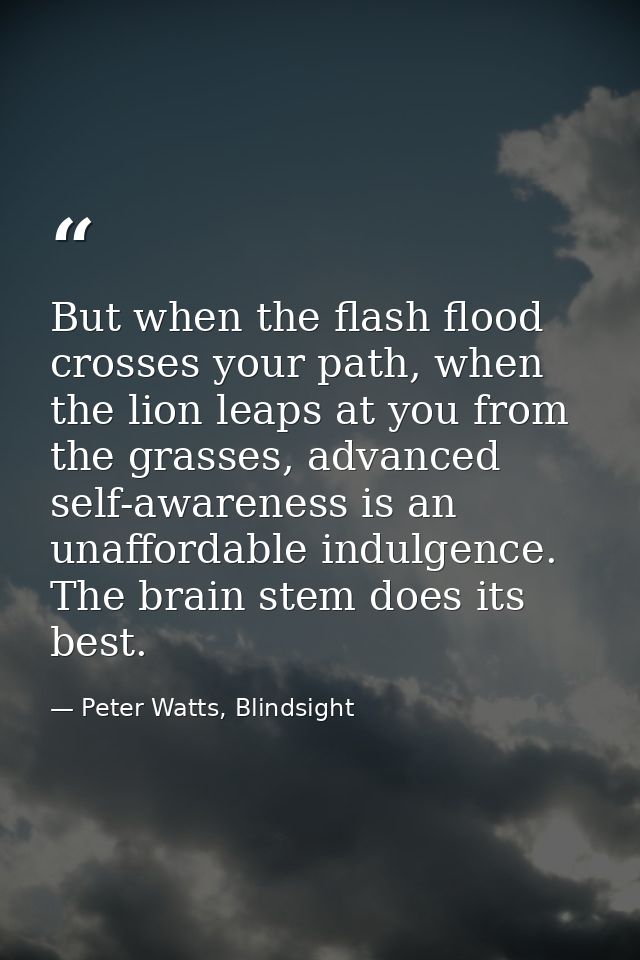 But when the flash flood crosses your path, when the lion leaps at you from the grasses, advanced self-awareness is an u — Peter Watts, Blindsight