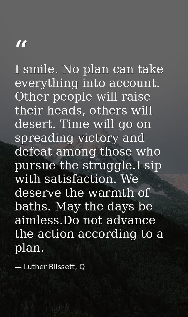 I smile. No plan can take everything into account. Other people will raise their heads, others will desert. Time will go — Luther Blissett, Q