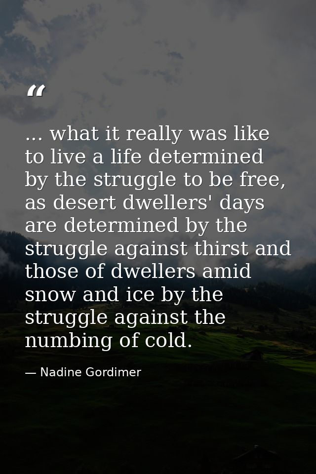 ... what it really was like to live a life determined by the struggle to be free, as desert dwellers' days are determine — Nadine Gordimer
