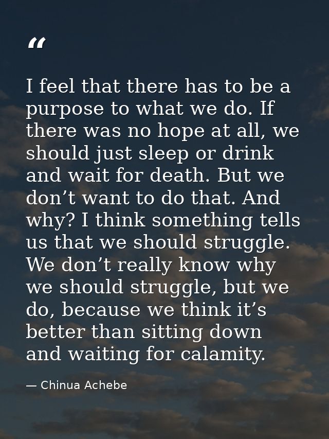 I feel that there has to be a purpose to what we do. If there was no hope at all, we should just sleep or drink and wait — Chinua Achebe