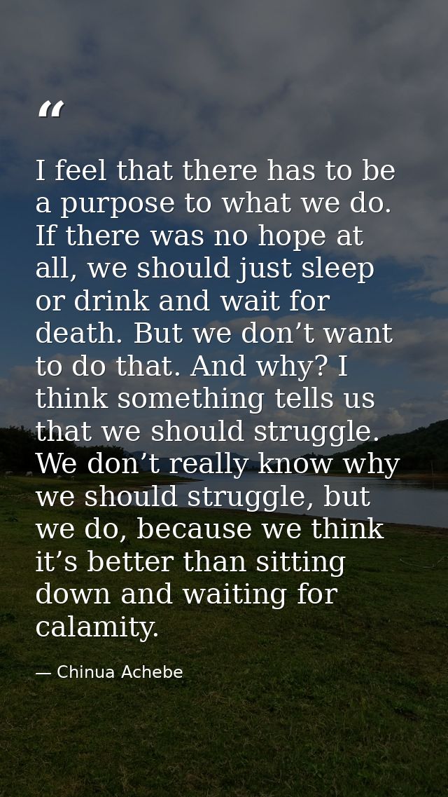 I feel that there has to be a purpose to what we do. If there was no hope at all, we should just sleep or drink and wait — Chinua Achebe
