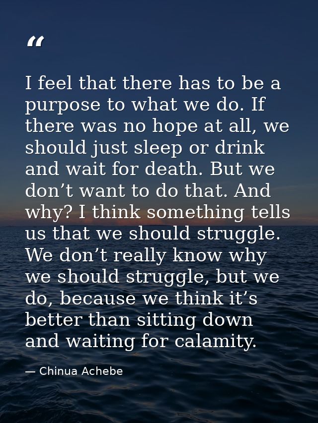 I feel that there has to be a purpose to what we do. If there was no hope at all, we should just sleep or drink and wait — Chinua Achebe