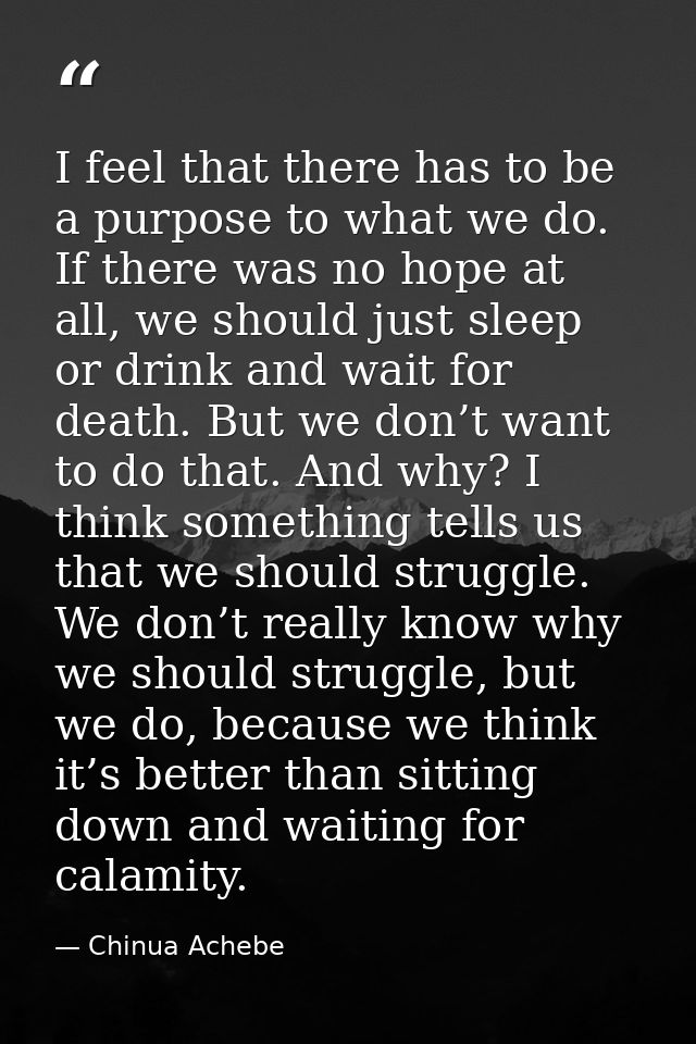 I feel that there has to be a purpose to what we do. If there was no hope at all, we should just sleep or drink and wait — Chinua Achebe