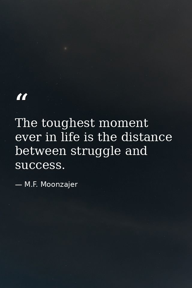The toughest moment ever in life is the distance between struggle and success. — M.F. Moonzajer