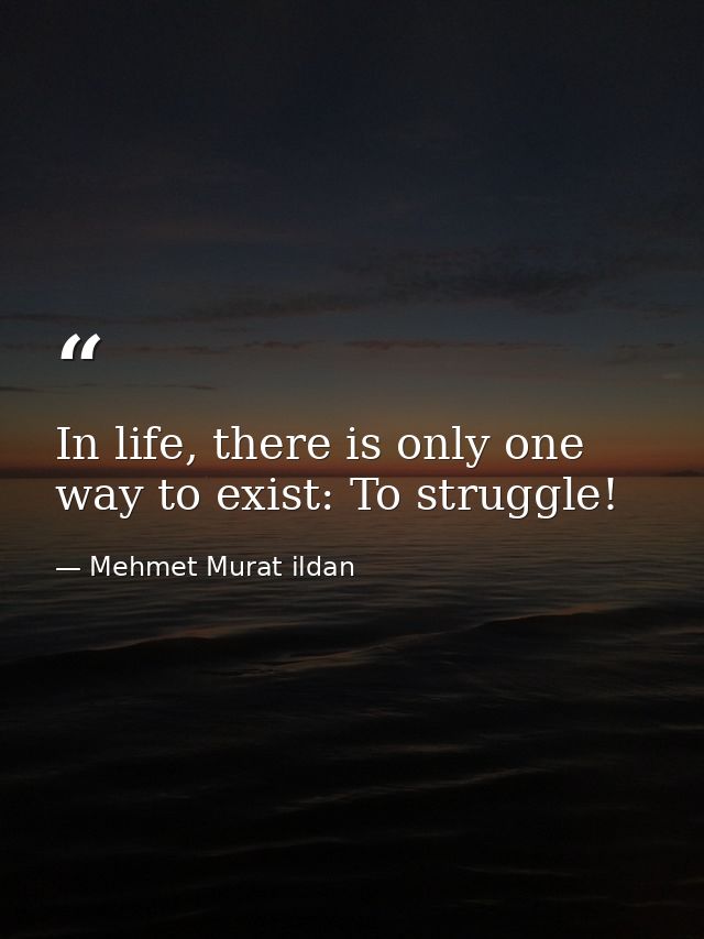 In life, there is only one way to exist: To struggle! — Mehmet Murat ildan