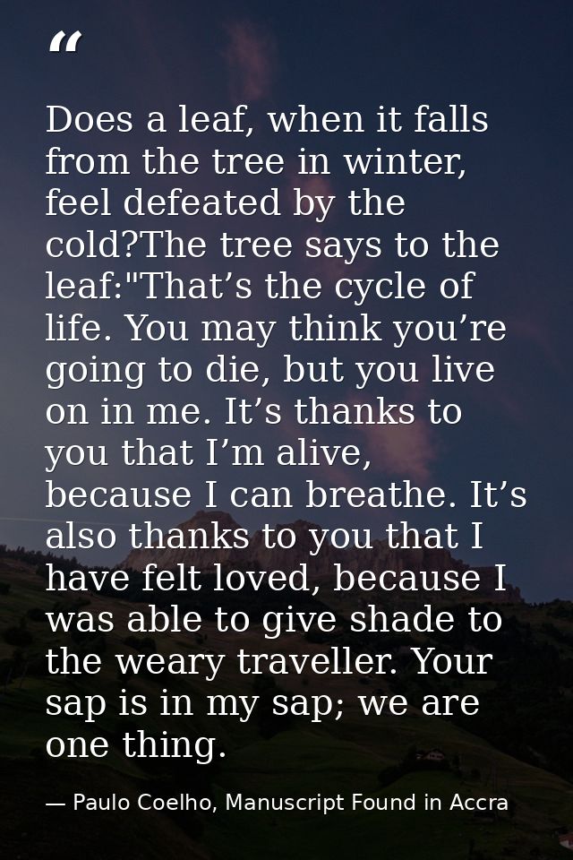 Does a leaf, when it falls from the tree in winter, feel defeated by the cold?The tree says to the leaf:"That’s the cycl — Paulo Coelho, Manuscript Found in Accra