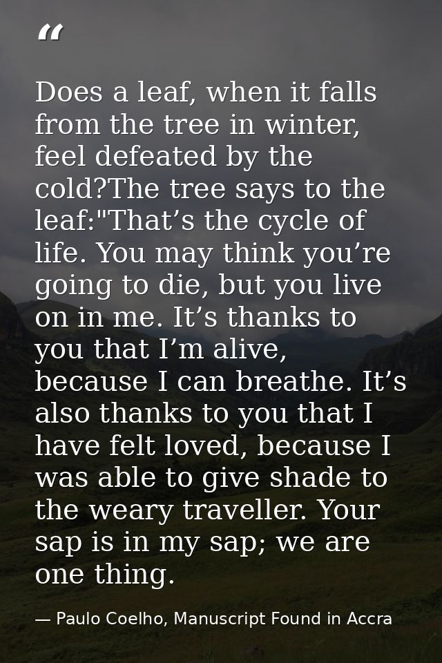 Does a leaf, when it falls from the tree in winter, feel defeated by the cold?The tree says to the leaf:"That’s the cycl — Paulo Coelho, Manuscript Found in Accra