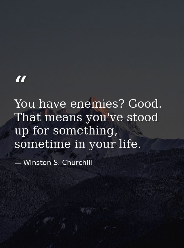 You have enemies? Good. That means you've stood up for something, sometime in your life. — Winston S. Churchill