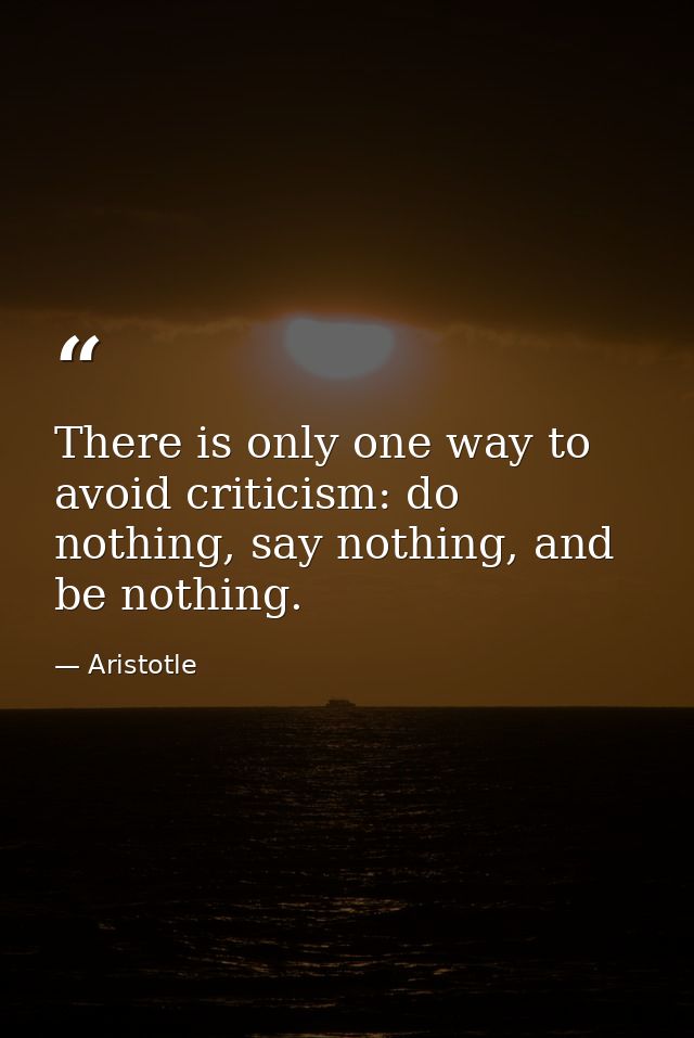 There is only one way to avoid criticism: do nothing, say nothing, and be nothing. — Aristotle